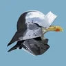 Armoured Avian