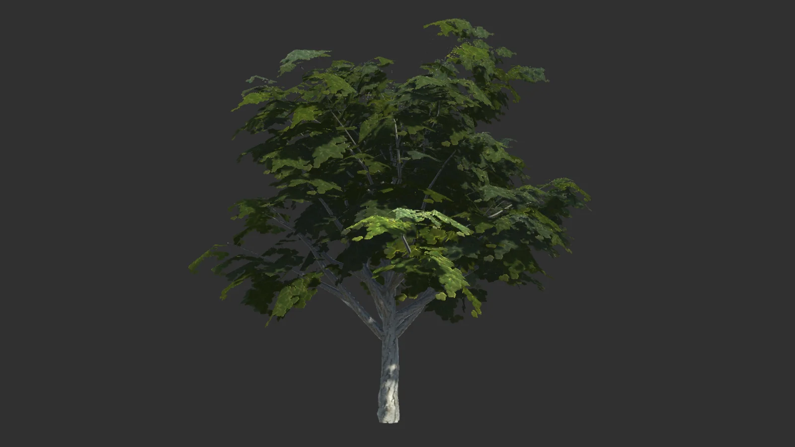 10 Realistic Trees screenshot 3