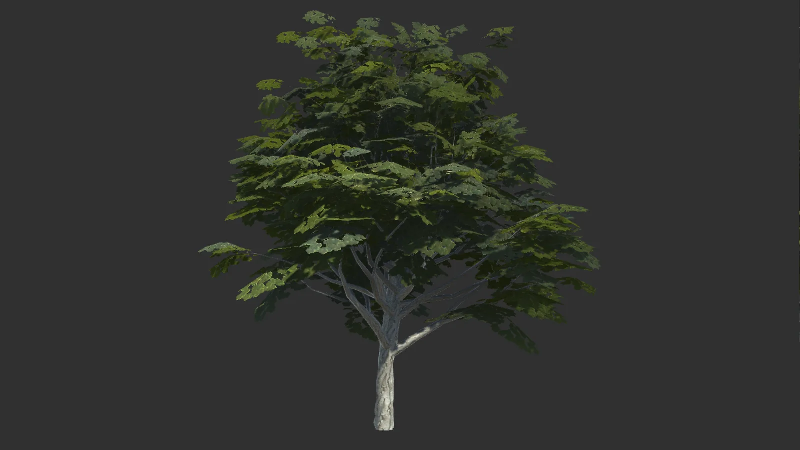 10 Realistic Trees screenshot 4