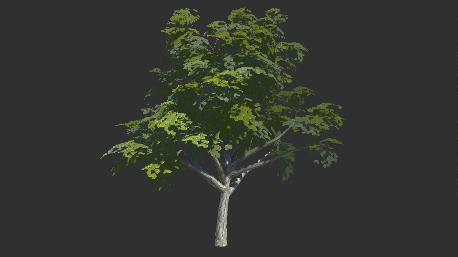 10 Realistic Trees screenshot 5