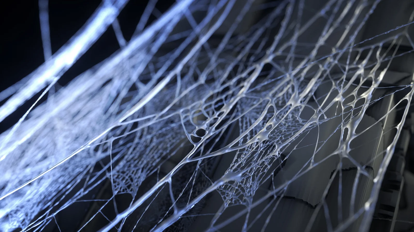 12 Cobwebs screenshot 2