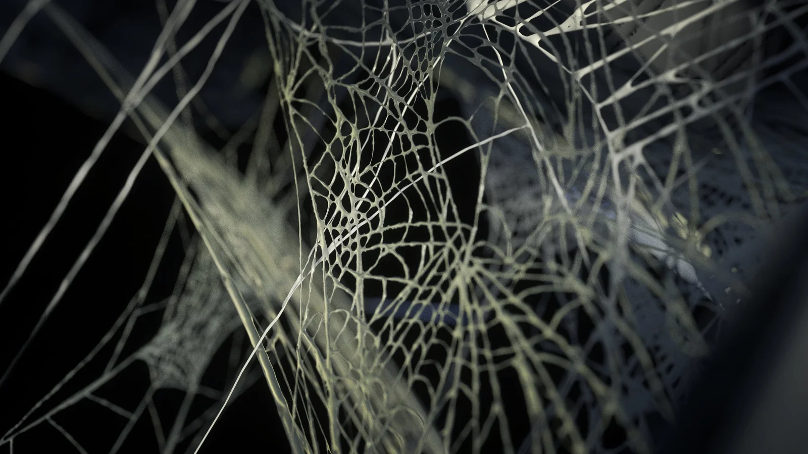 12 Cobwebs screenshot 4