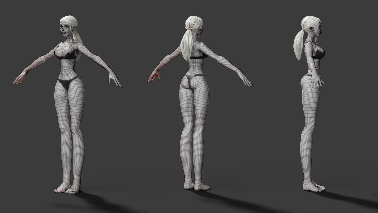 2024 Base Mesh screenshot 2