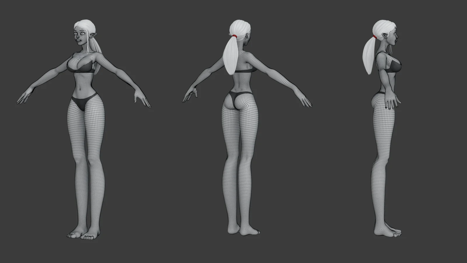 2024 Base Mesh screenshot 3