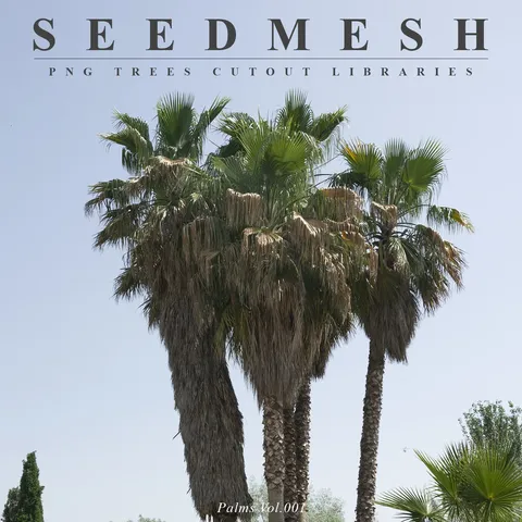 25 Trees: Palms Vol. 001 - Blender textures & materials