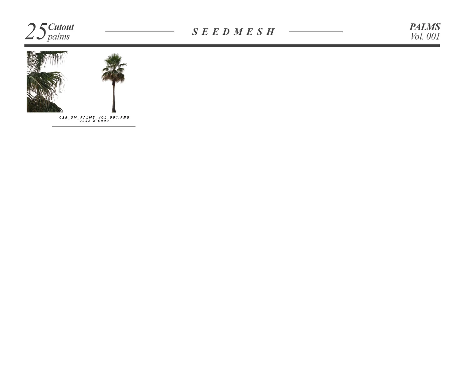 25 Trees: Palms Vol. 001 screenshot 4