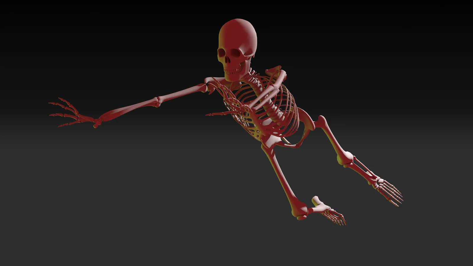 38 Skeleton Poses screenshot 6