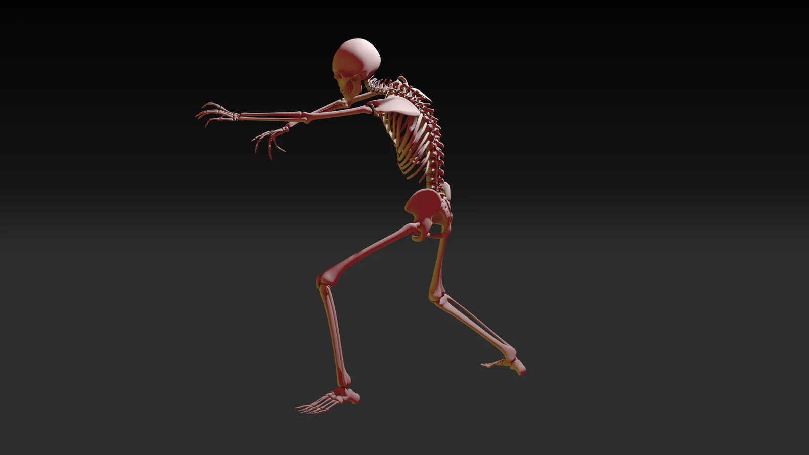 38 Skeleton Poses screenshot 8