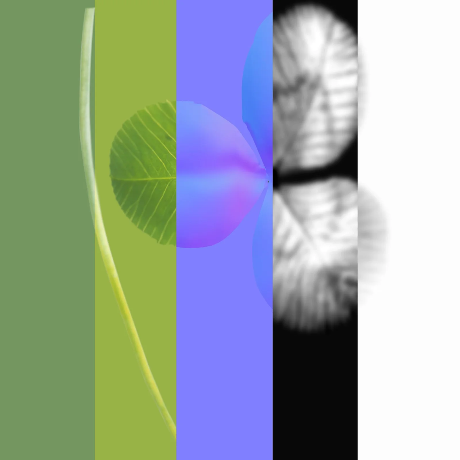 3D Clover screenshot 4