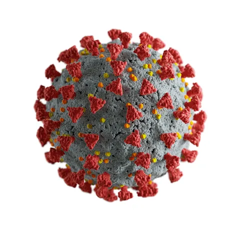 Corona Virus - Blender 3d models