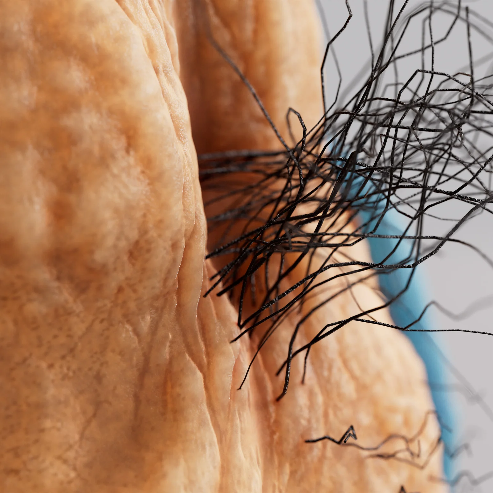 Krumm Character Model screenshot 7