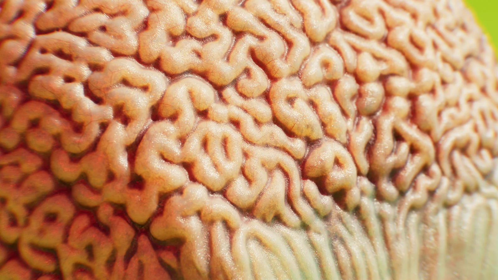 Mars Attacks Martian screenshot 5