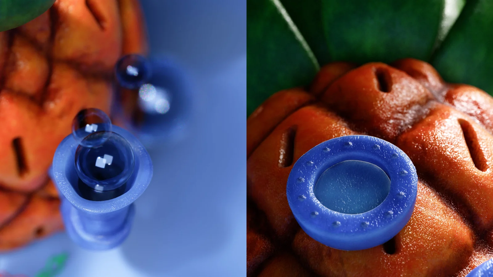 Spongebob's House screenshot 3