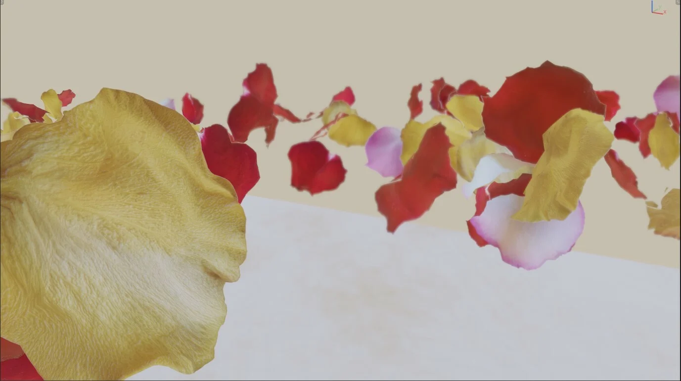 3D Rose Petals screenshot 4