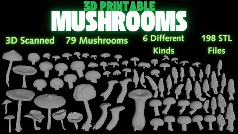 3D Scanned Printable Mushrooms - Blender 3d models