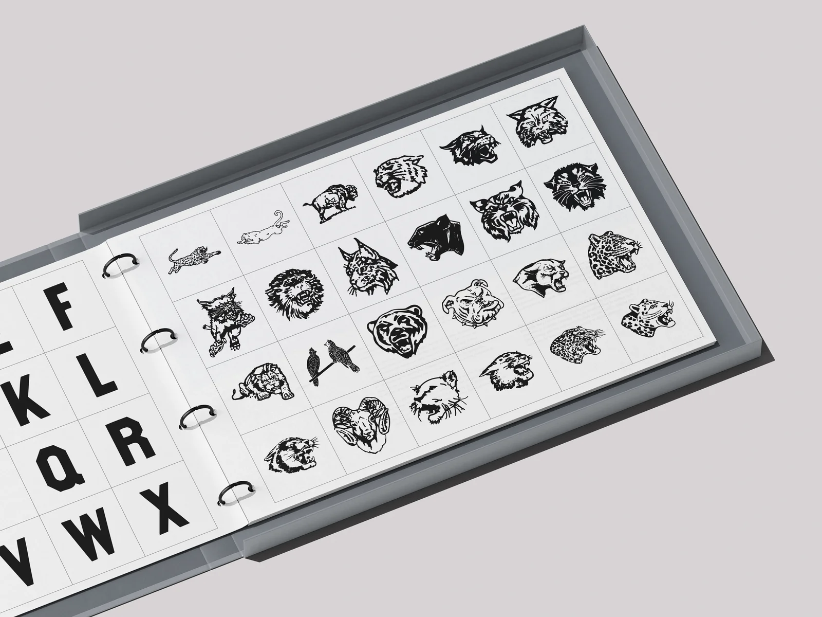 Distressed Athletic Merch Pack screenshot 3