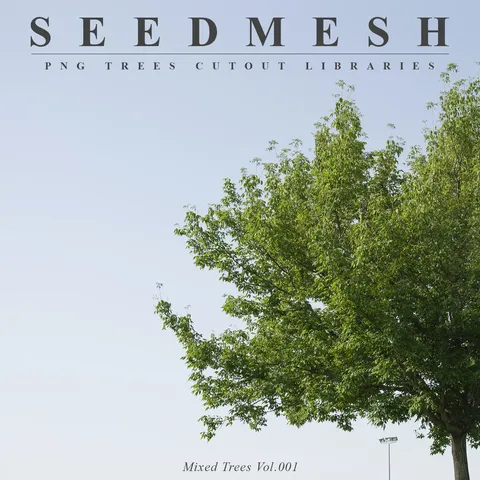 Mixed Species Trees Vol 001 - Blender textures & materials