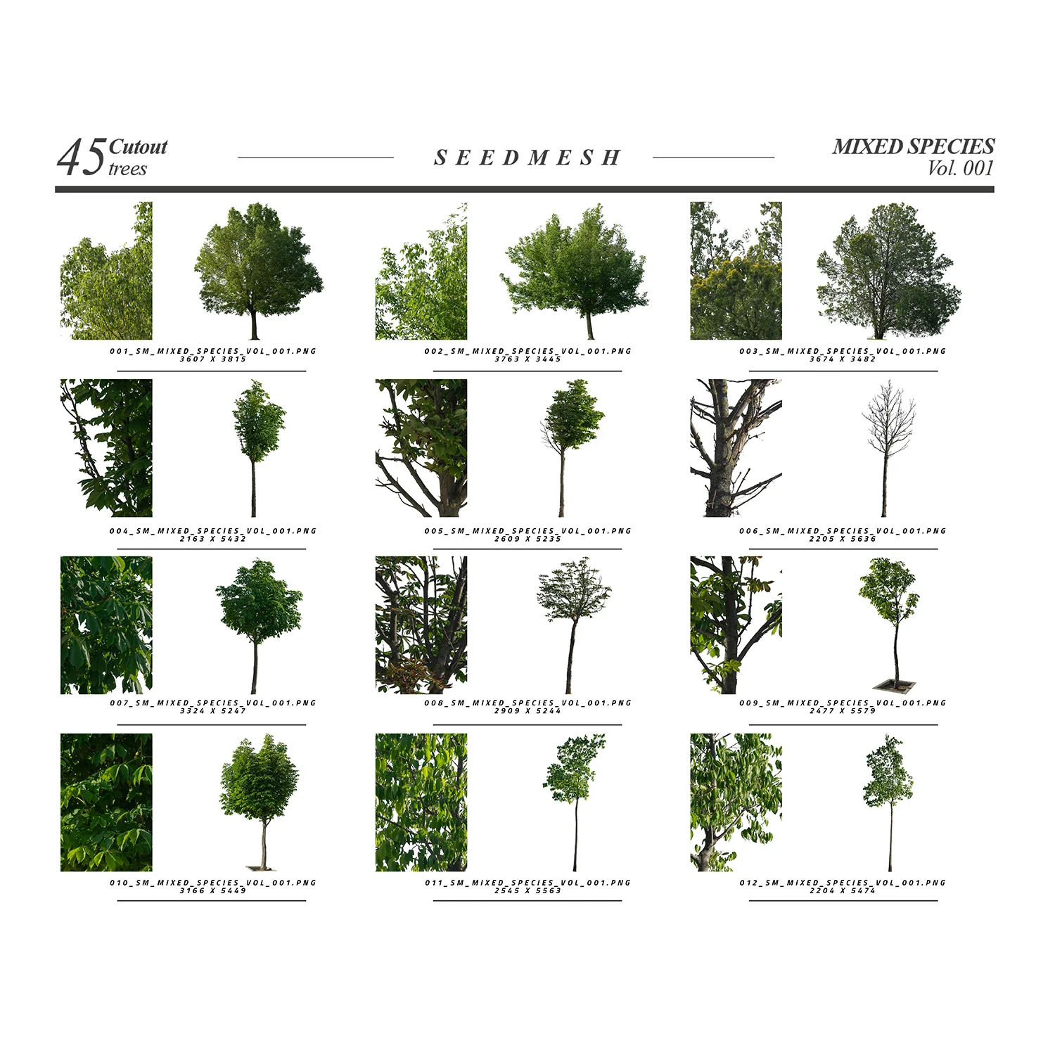 Mixed Species Trees Vol 001 screenshot 2