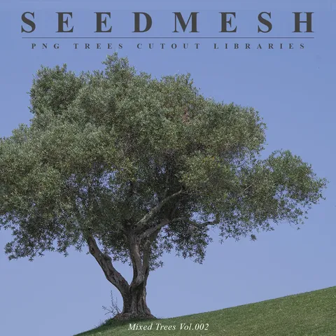 Mixed Species Trees Vol. 002 - Blender textures & materials