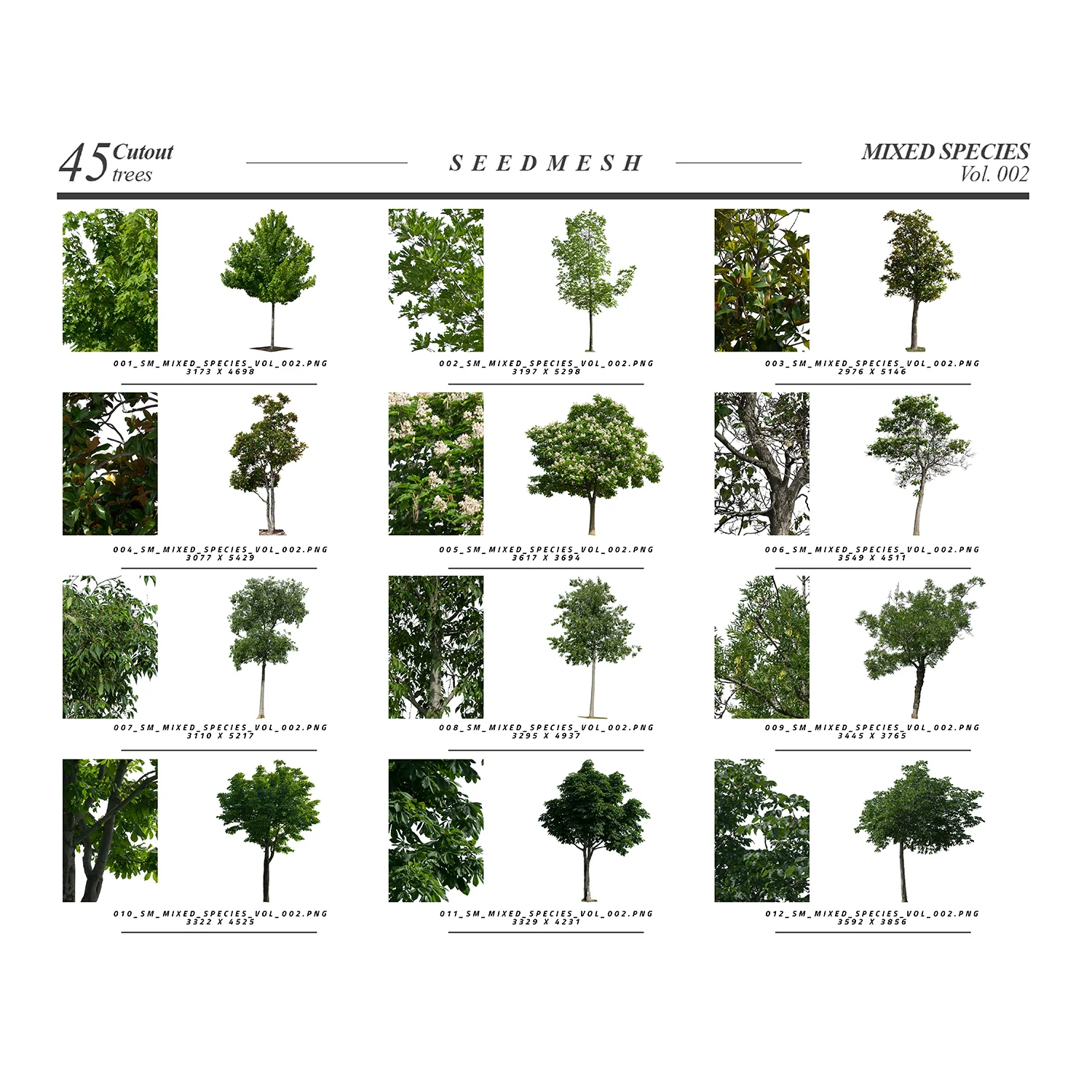 Mixed Species Trees Vol. 002 screenshot 2