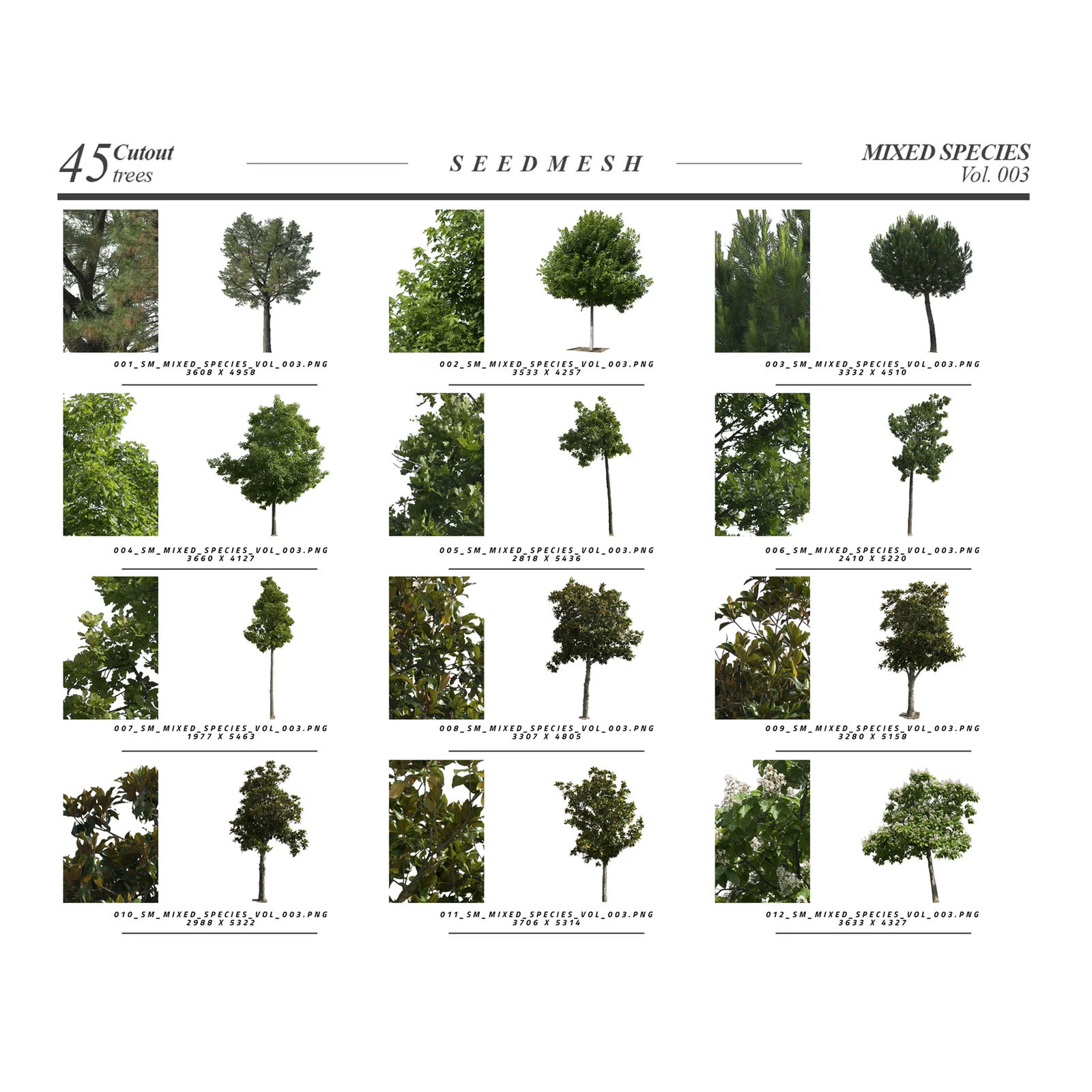 Mixed Species Trees Vol 3 screenshot 3