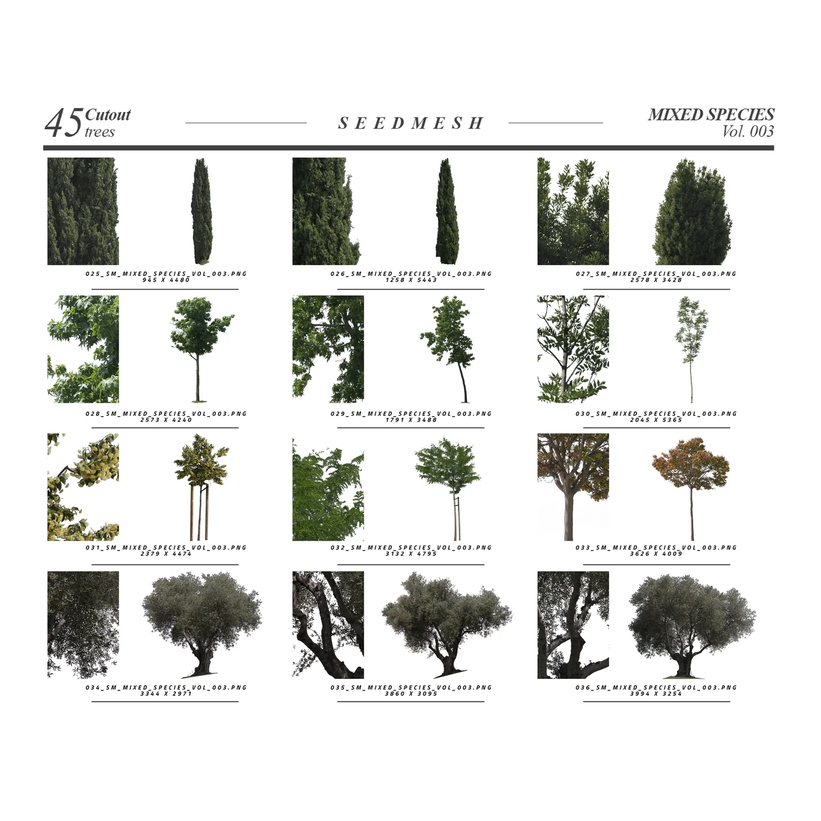Mixed Species Trees Vol 3 screenshot 5