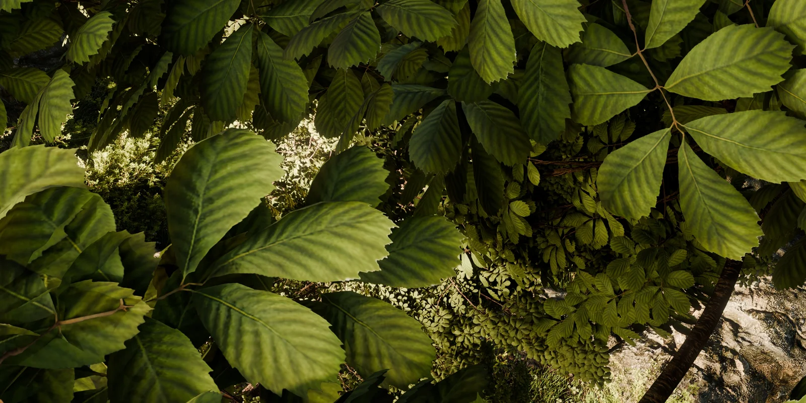 Tempered Forest screenshot 5