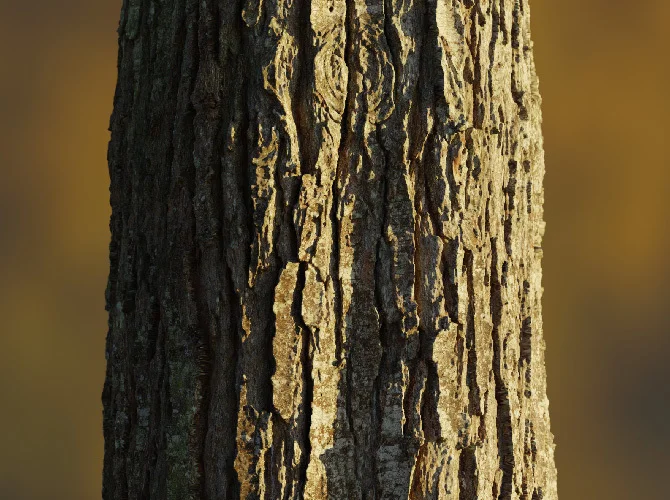 8K Scanned Tree Texture Pack screenshot 2