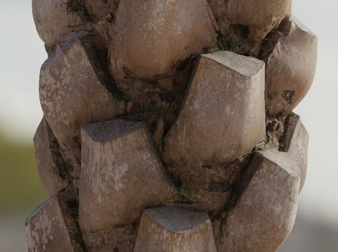 8K Scanned Tree Texture Pack screenshot 4