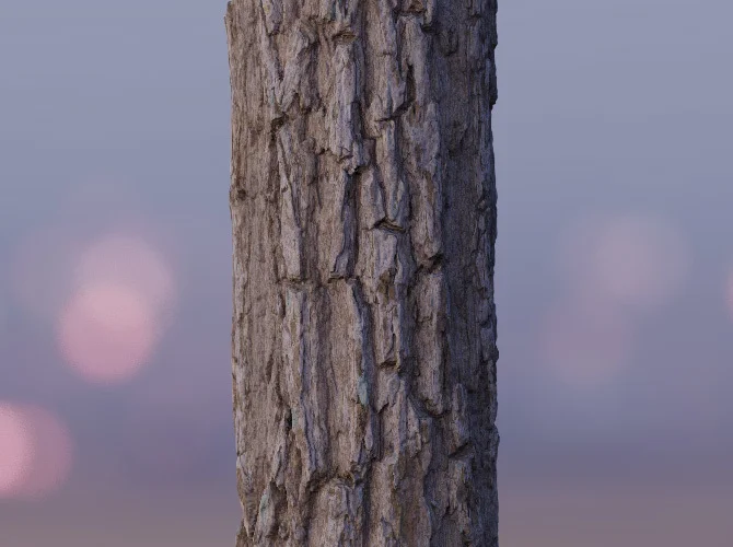 8K Scanned Tree Texture Pack screenshot 6