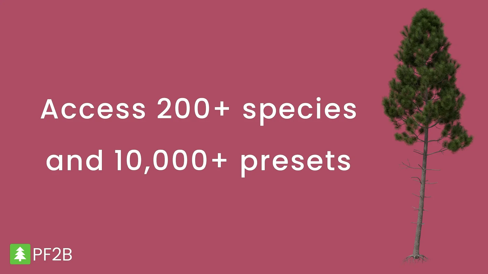 PlantFactory to Blender screenshot 2