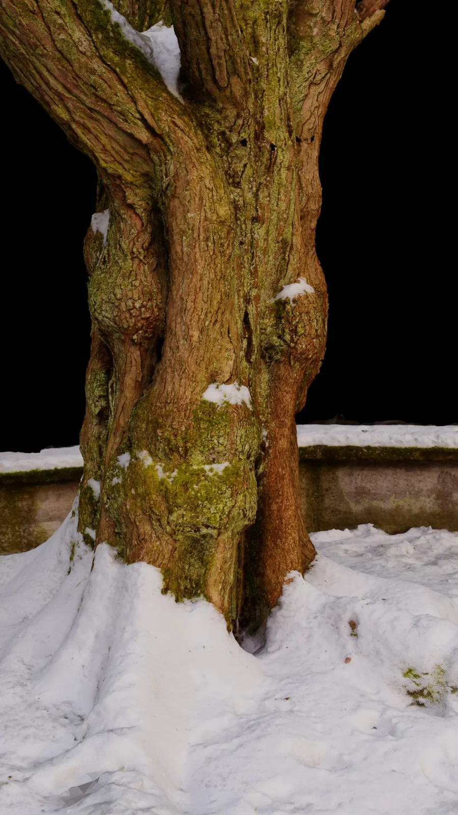 Assorted 3D Scans screenshot 4