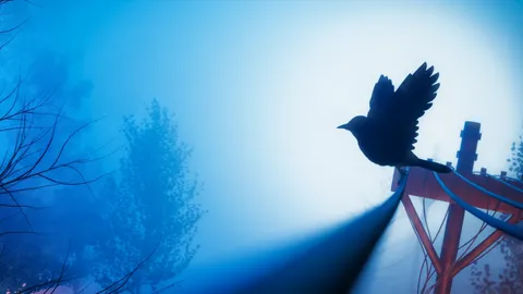 Ambient Scene - Blender scenes