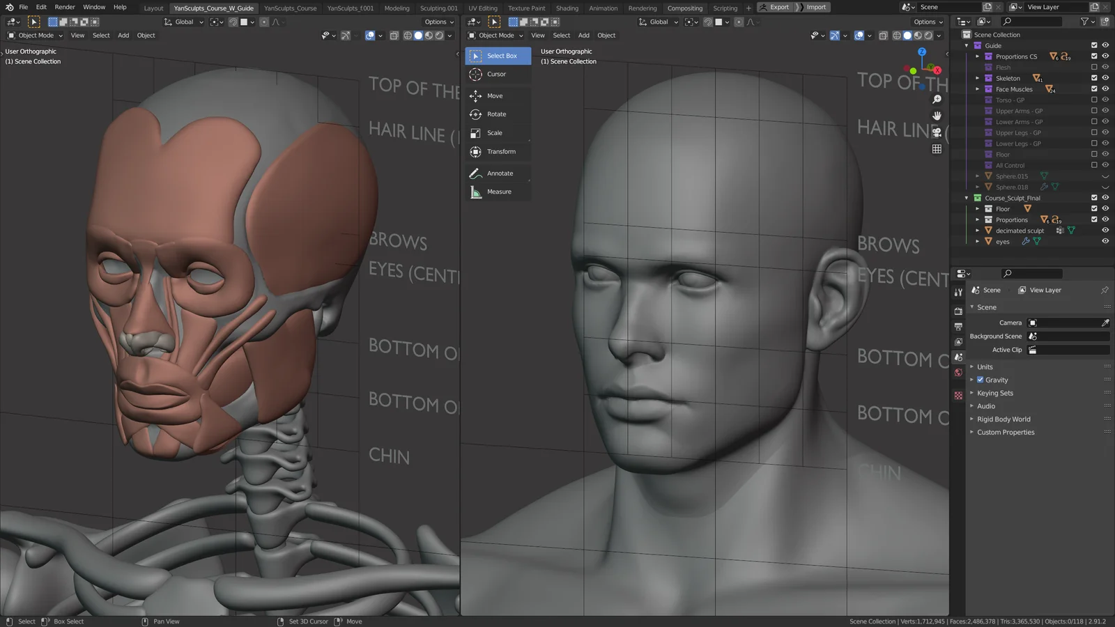 Anatomy and Form screenshot 3
