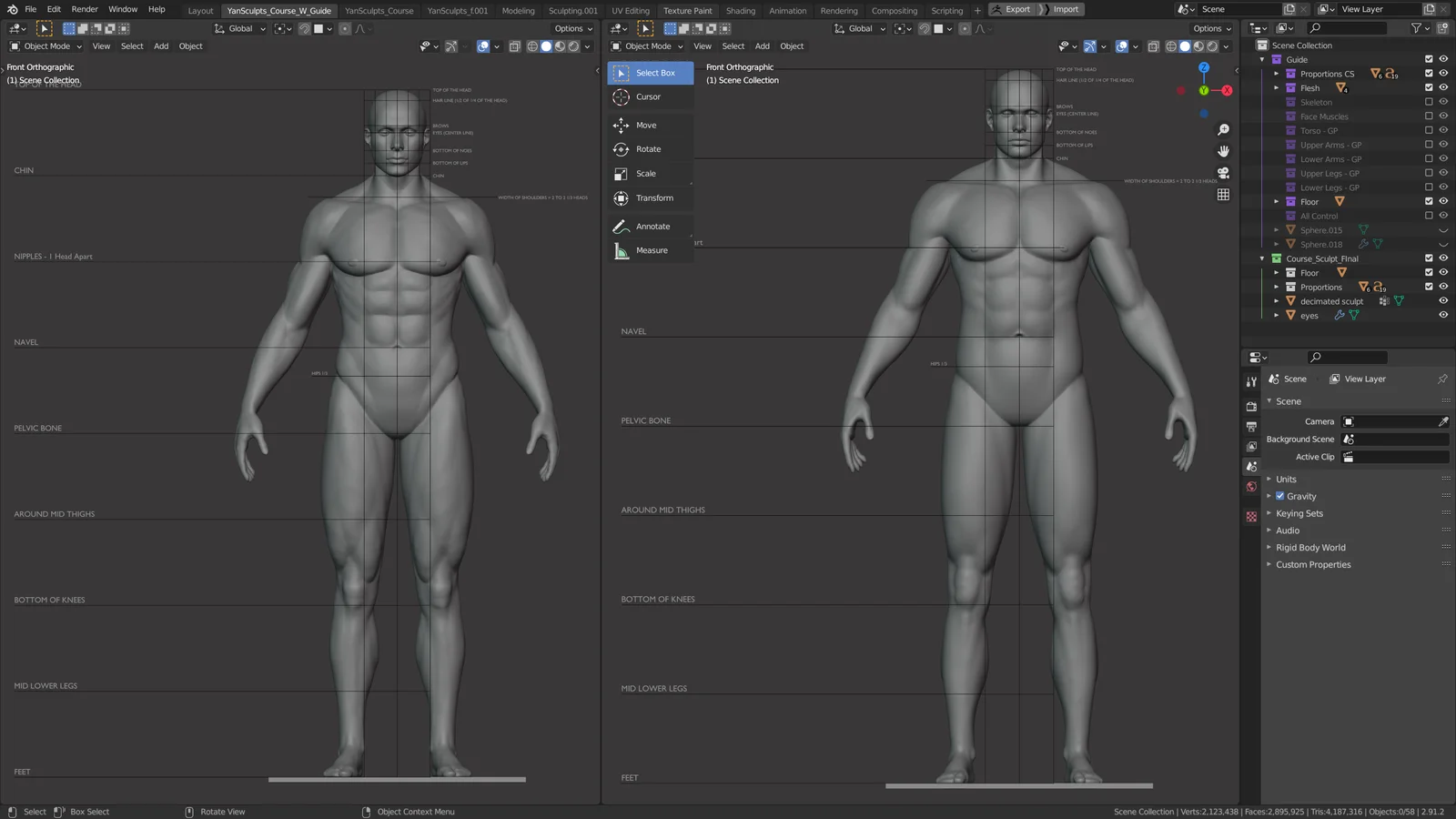Anatomy and Form screenshot 4