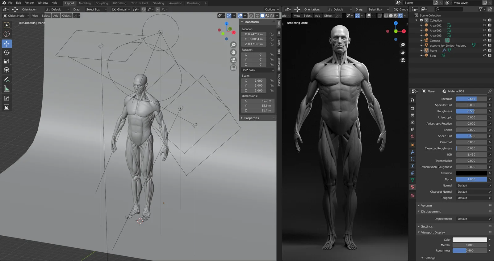 Male Anatomy Ecorche screenshot 4