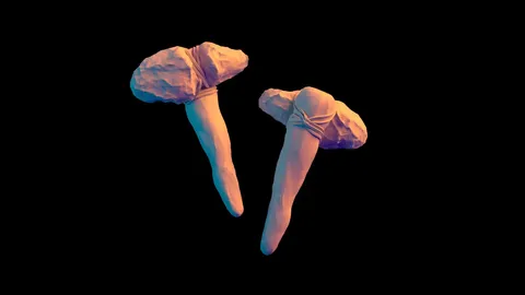 Ancient Tool - Blender 3d models