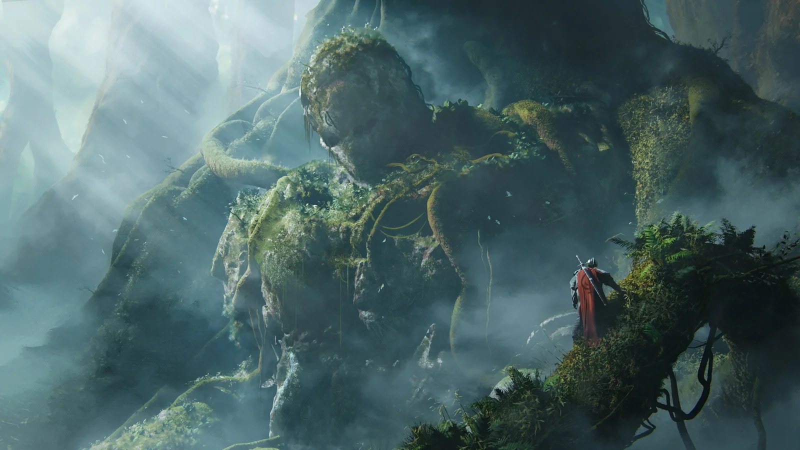 Ancient Tree Trunks screenshot 7