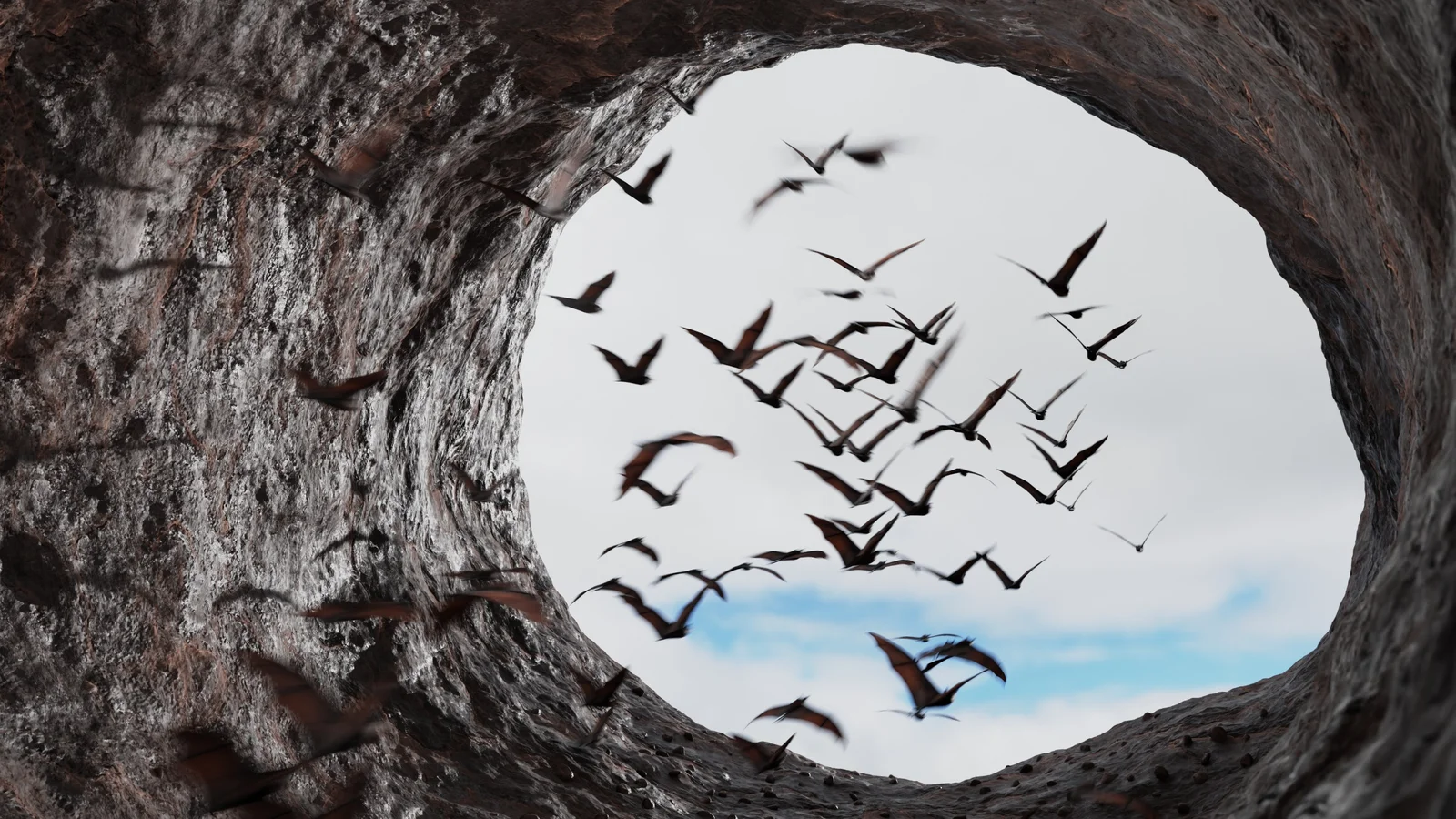 Animated Bats screenshot 2