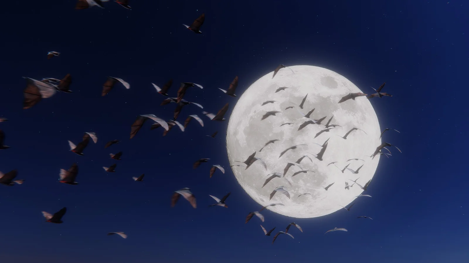 Animated Bats screenshot 3