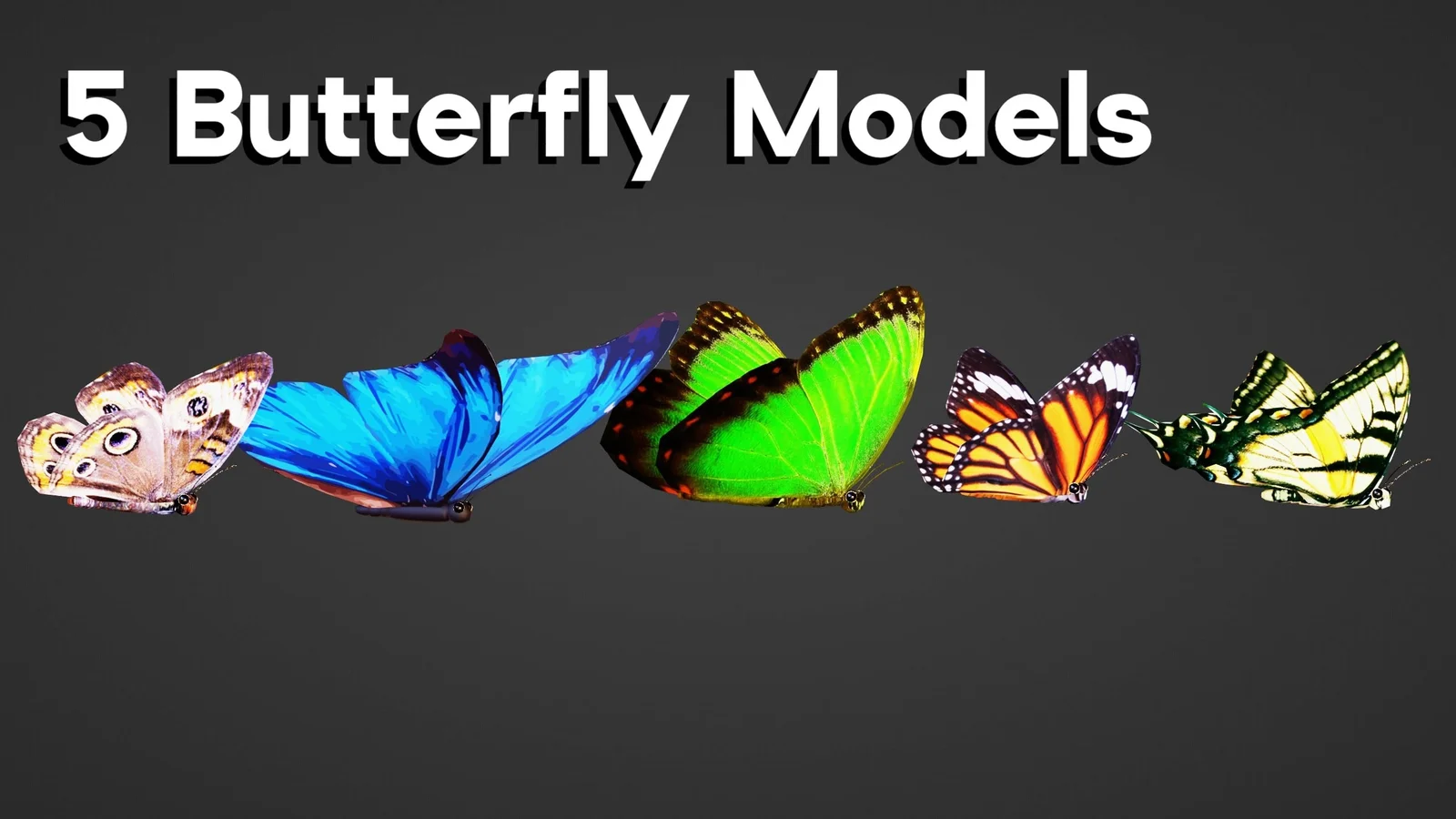 Animated Butterflies screenshot 3