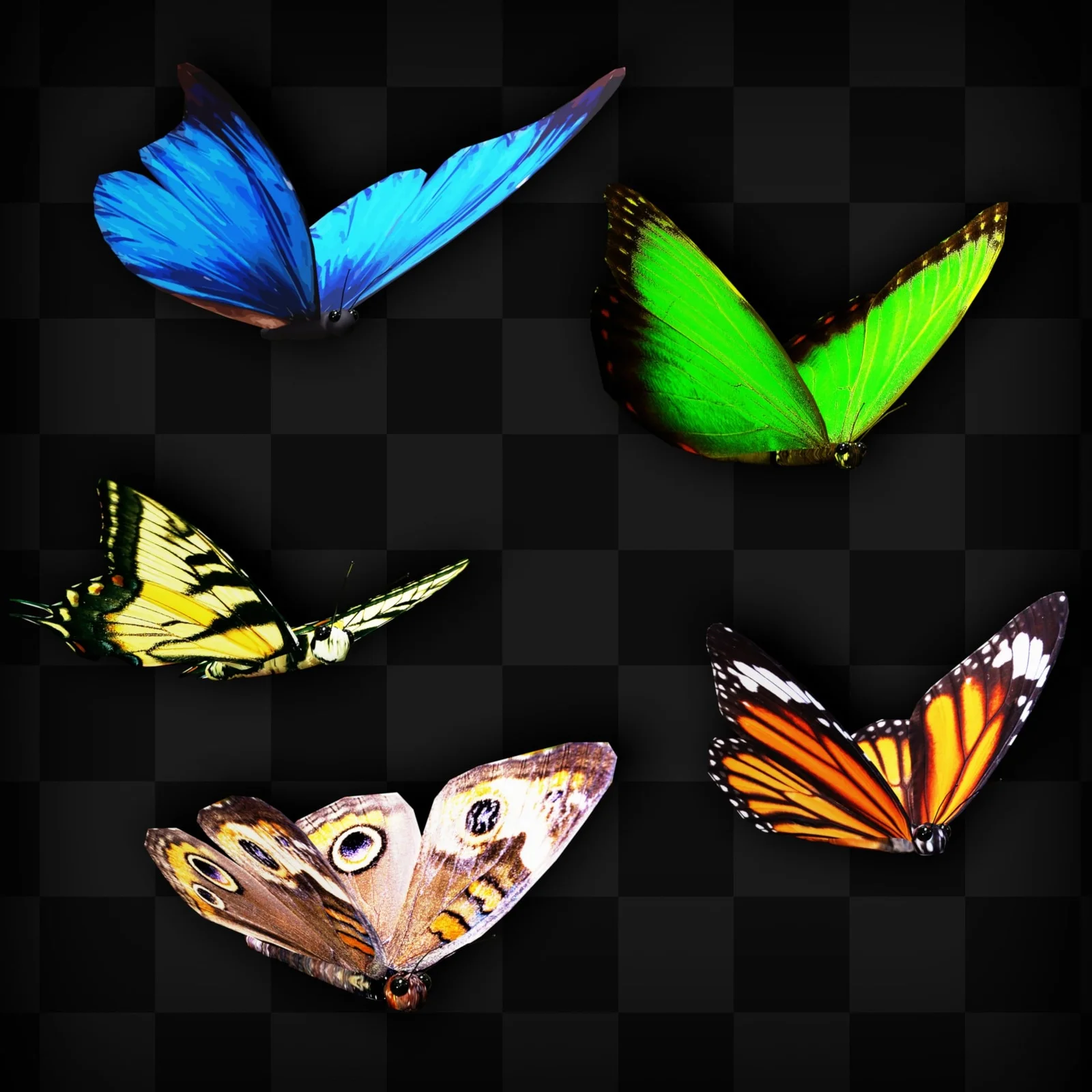 Animated Butterflies screenshot 8