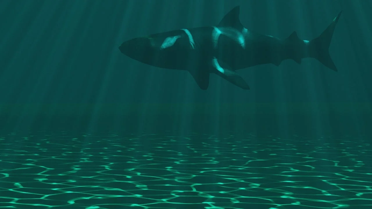 Water Caustics Gobos screenshot 2