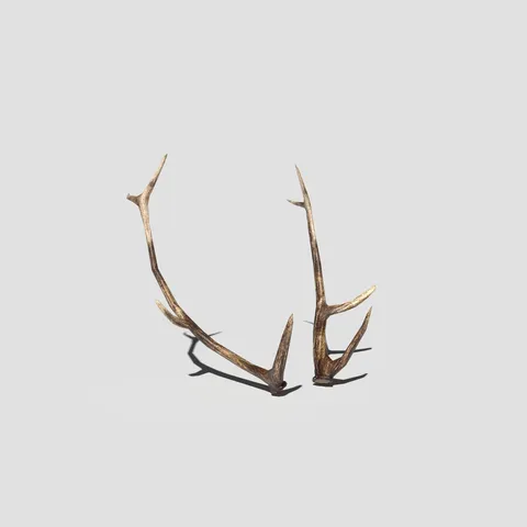 Antlers - Blender 3d models