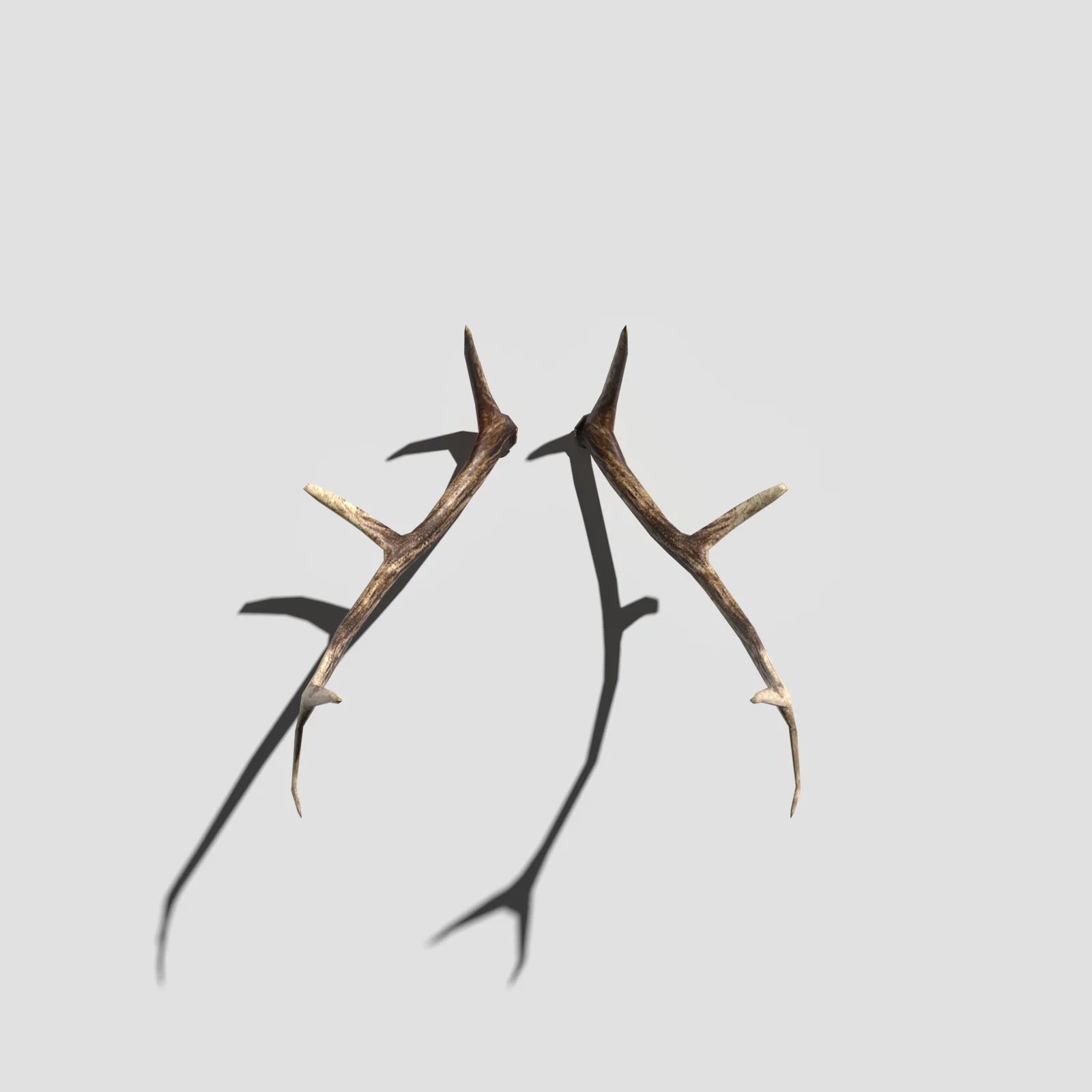 Antlers screenshot 5