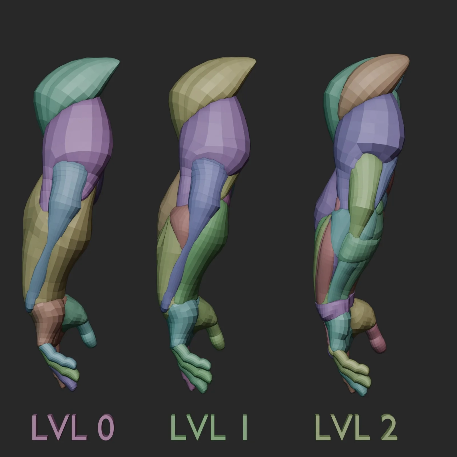Arm Anatomy Blockout Levels screenshot 4