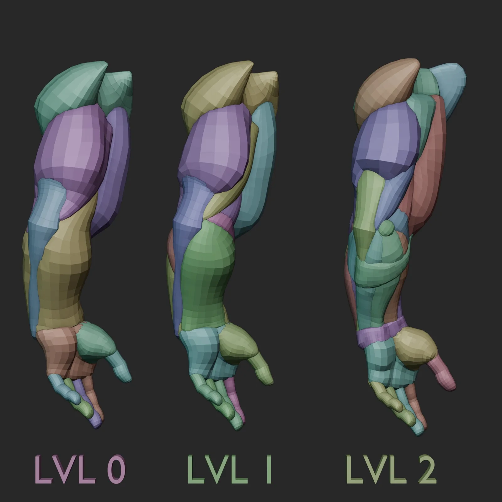 Arm Anatomy Blockout Levels screenshot 5