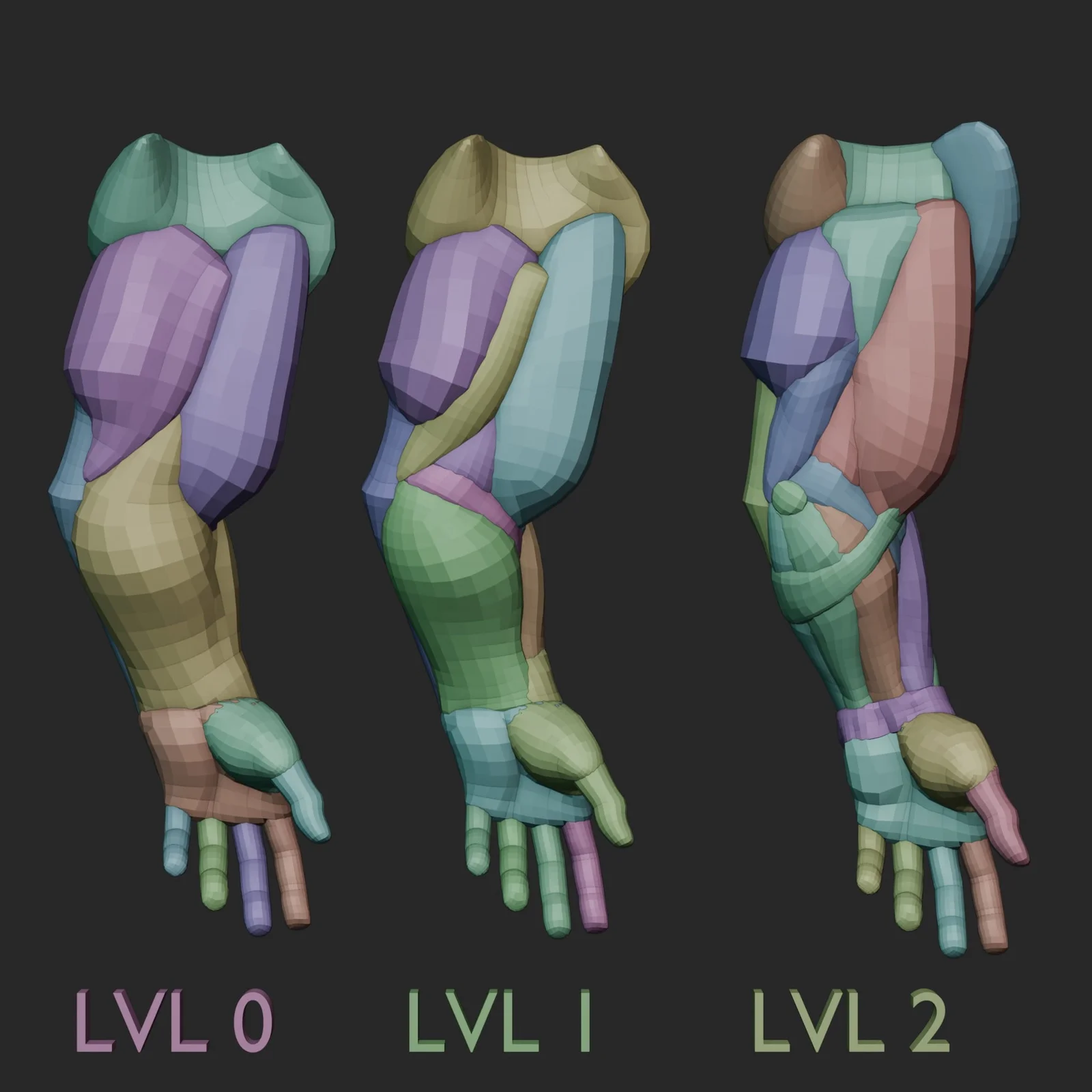 Arm Anatomy Blockout Levels screenshot 6