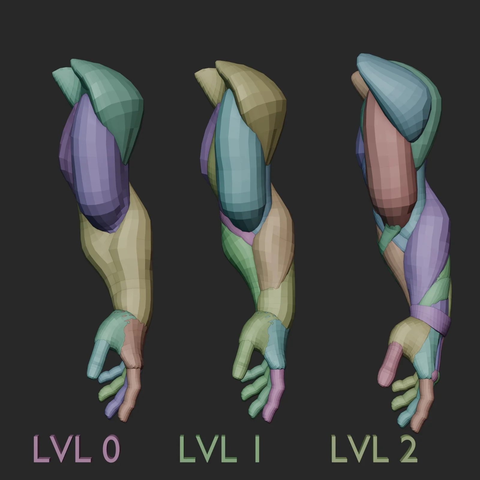 Arm Anatomy Blockout Levels screenshot 7