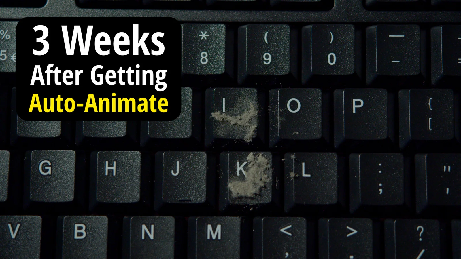 Auto-Animate Premium screenshot 2